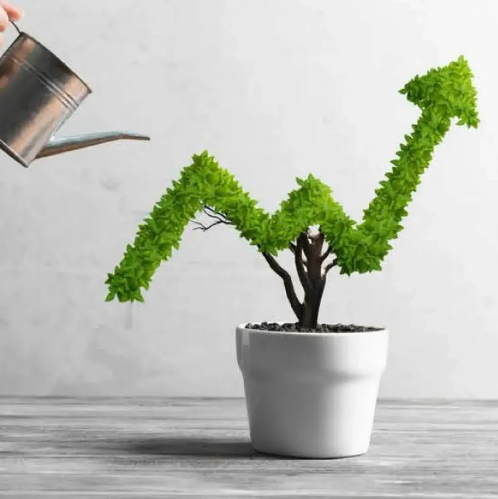 plant shaped as an arrow pointing up.